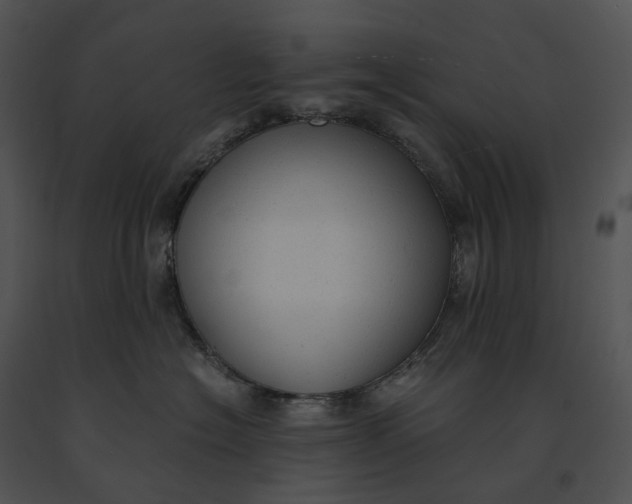 X0000091200574200708301602