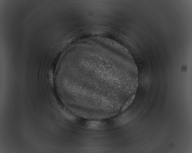 X0000091200575200708301603