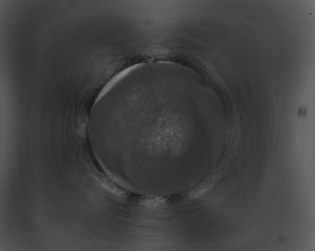 X0000091200576200708301603
