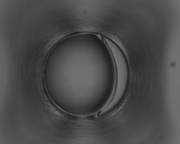 X0000091200577200708301602
