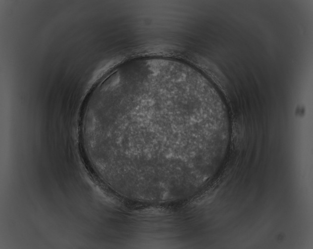 X0000091200578200708301602