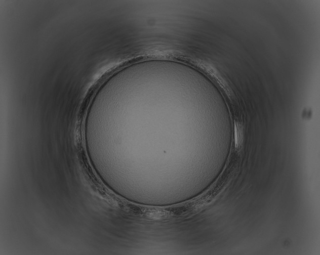 X0000091200579200708301602