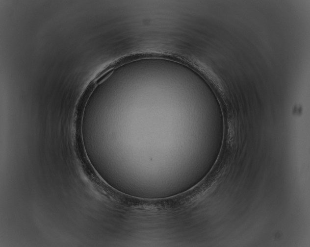 X0000091200580200708301602