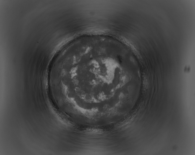 X0000091200582200708301602