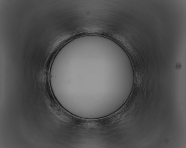 X0000091200583200708301602