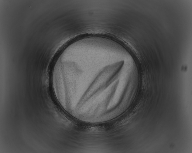 X0000091200584200708301602