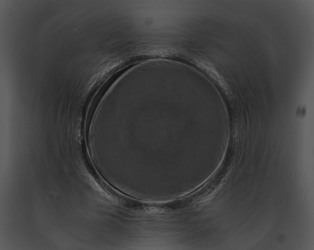 X0000091200585200708301602