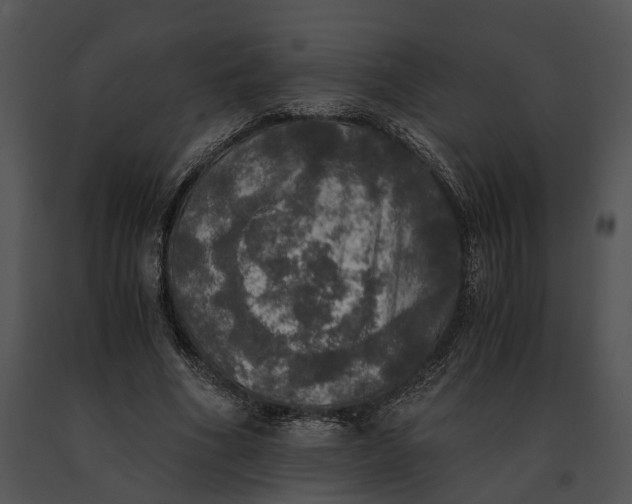 X0000091200586200708301602
