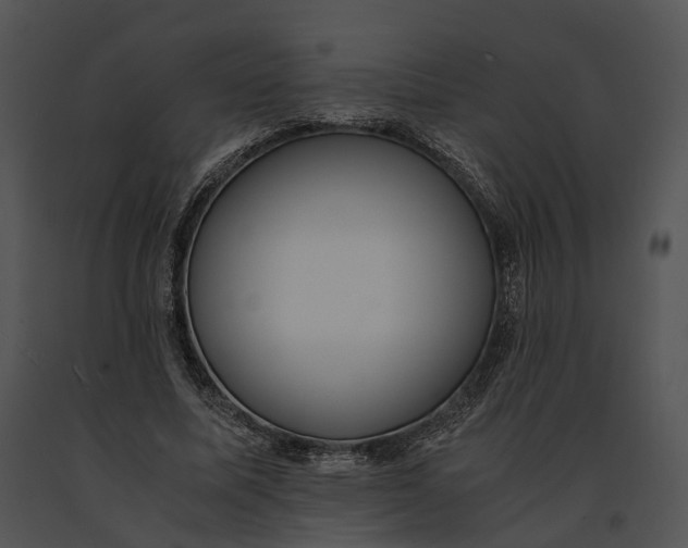 X0000091200587200708301602