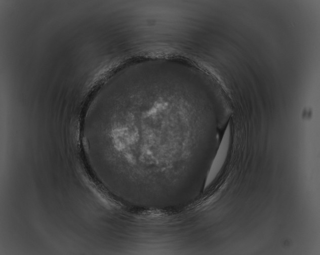 X0000091200589200708301602