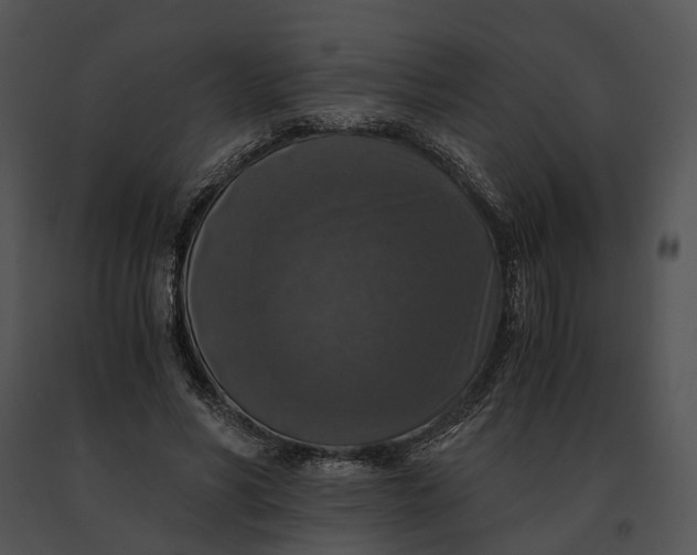 X0000091200590200708301602