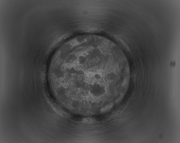 X0000091200591200708301602