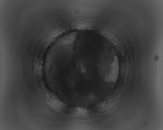 X0000091200592200708301602