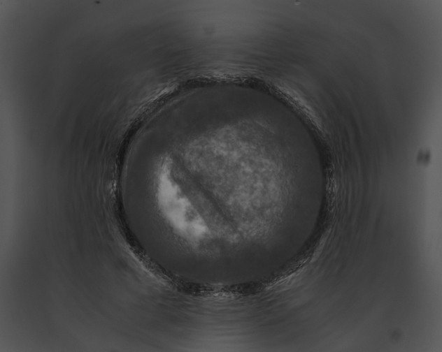X0000091200593200708301602