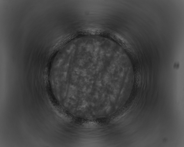 X0000091200594200708301602