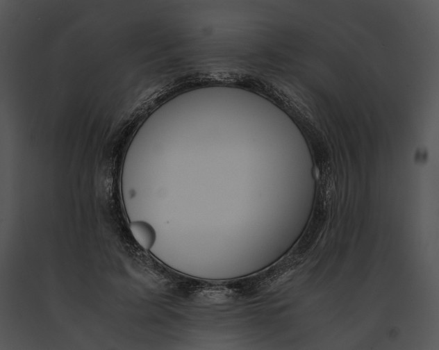 X0000091200595200708301602