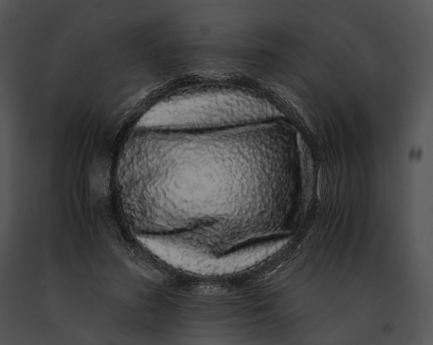 X0000091200596200708301602