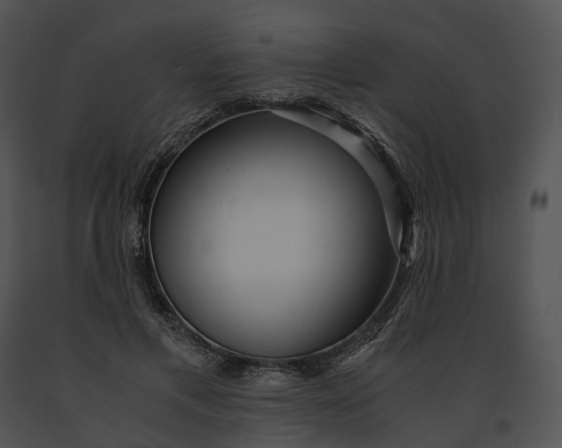 X0000091200597200708301602