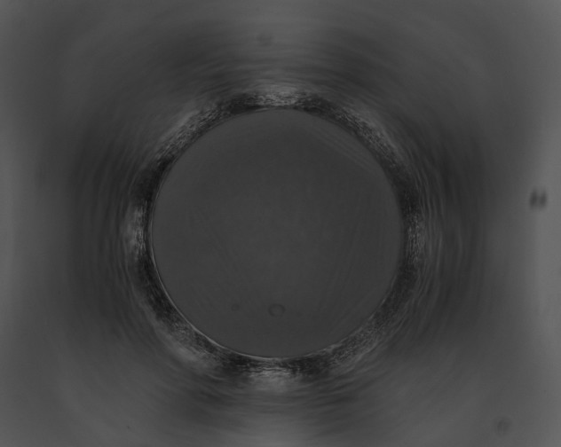X0000091200598200708301602