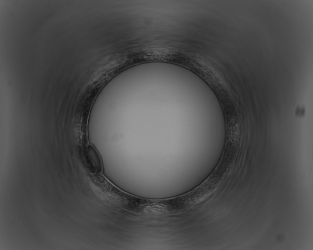 X0000091200599200708301602