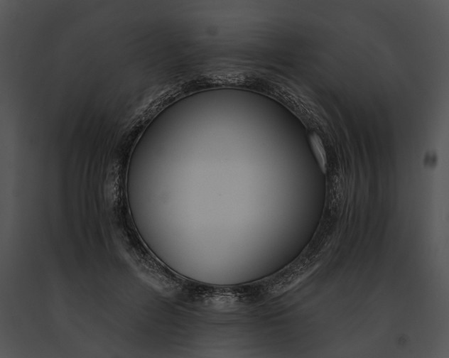 X0000091200600200708301602