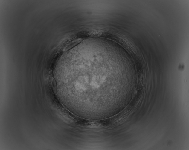 X0000091200601200708301602