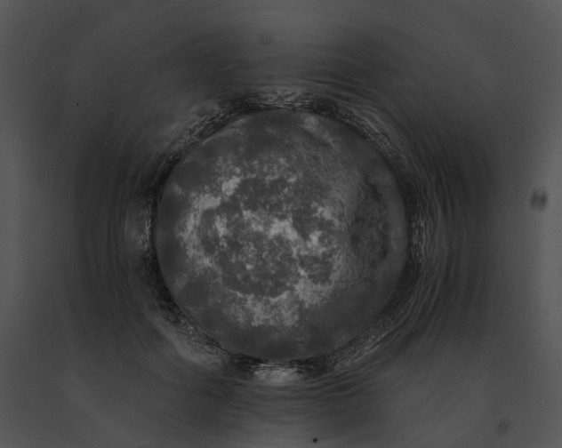 X0000091200602200708301602