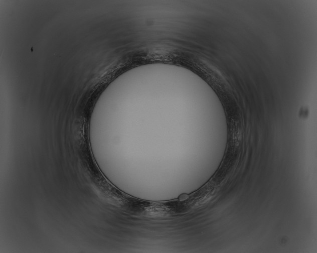 X0000091200603200708301602