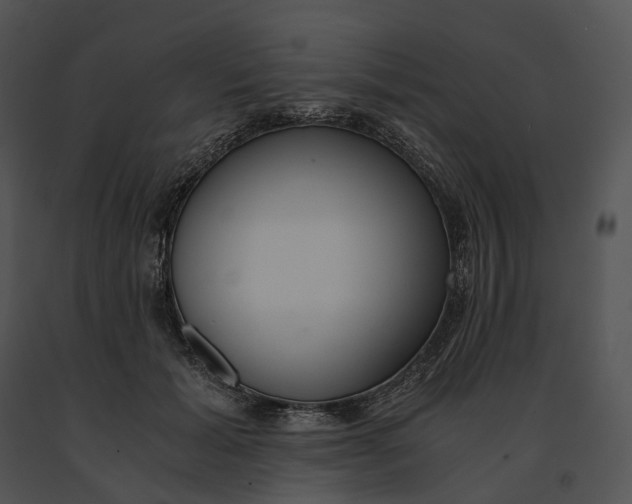 X0000091200605200708301602