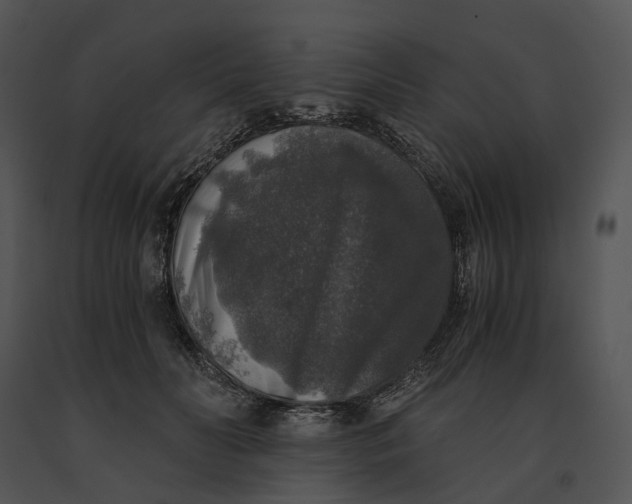 X0000091200606200708301602