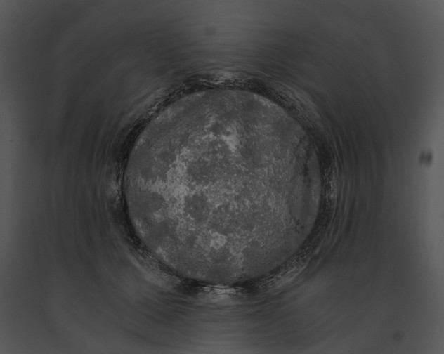 X0000091200607200708301602