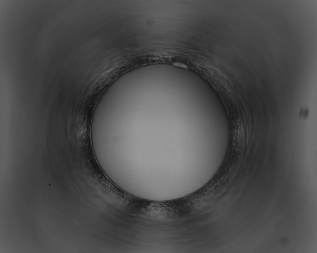X0000091200608200708301602