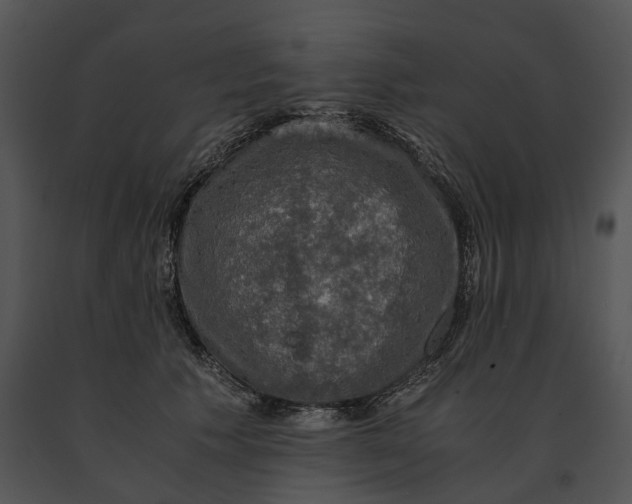 X0000091200609200708301602