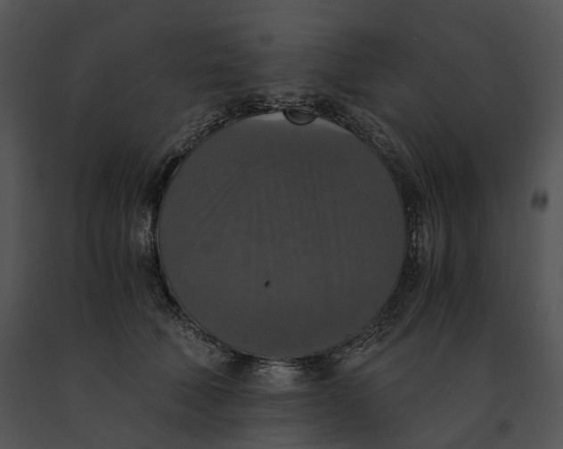 X0000091200610200708301602