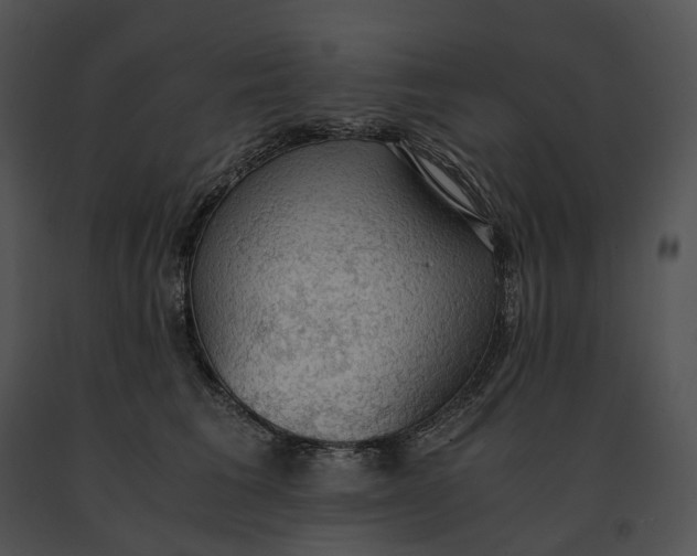 X0000091200613200708301601