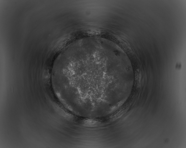 X0000091200614200708301601