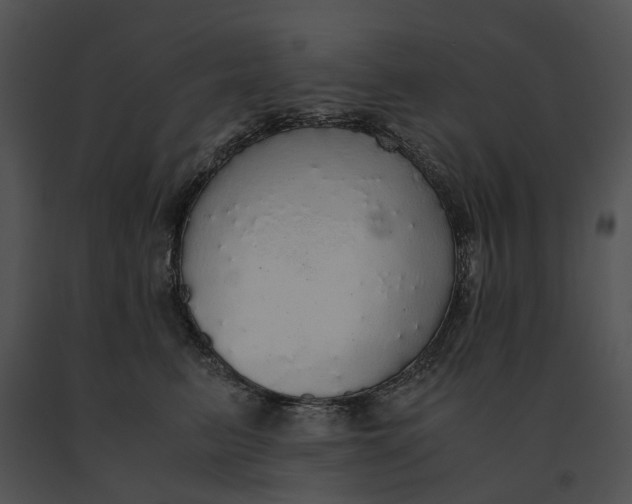 X0000091200615200708301601