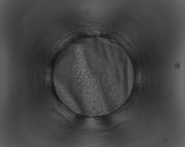 X0000091200616200708301601