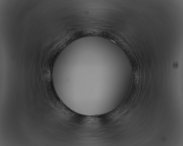 X0000091200617200708301601