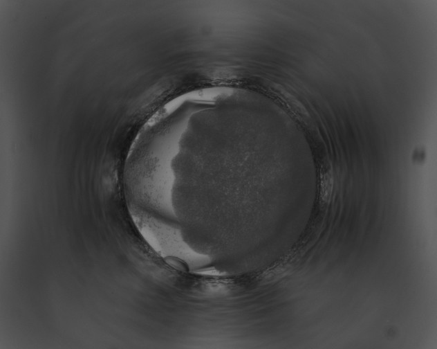X0000091200618200708301601