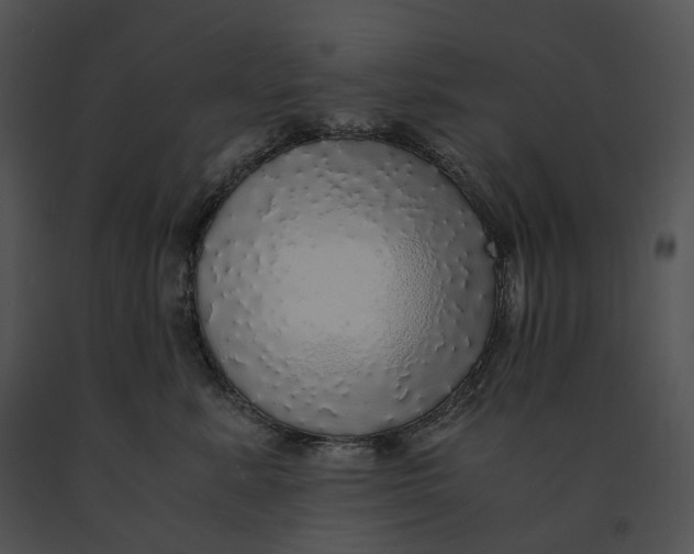 X0000091200619200708301601