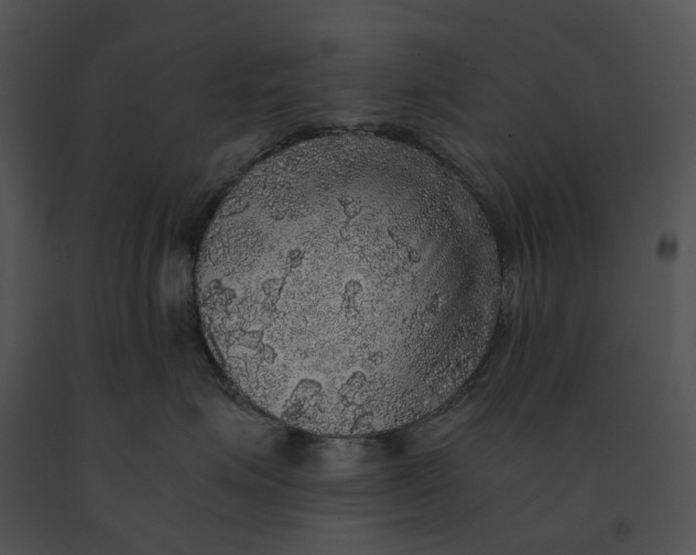 X0000091200623200708301601