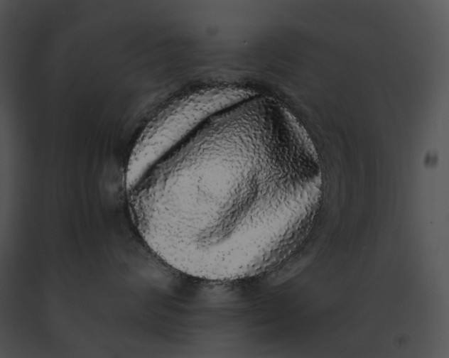 X0000091200624200708301601