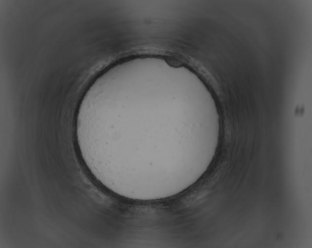 X0000091200625200708301601