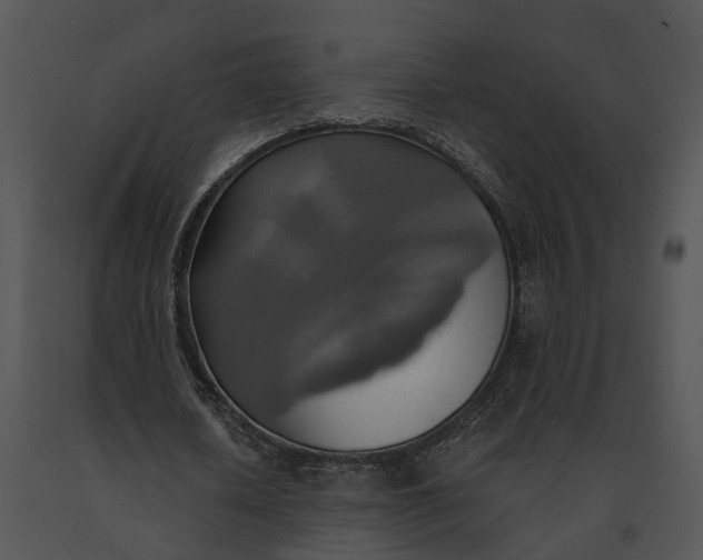 X0000091200626200708301601