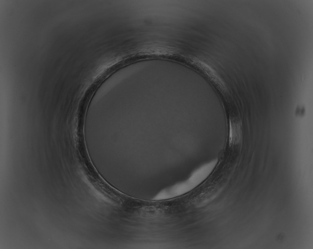 X0000091200627200708301601