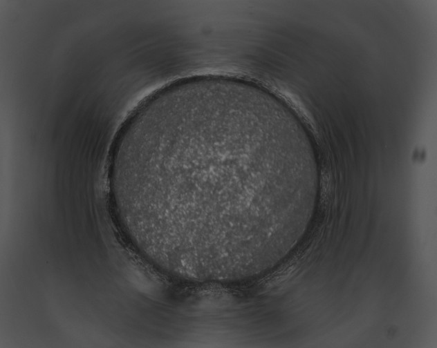 X0000091200628200708301601