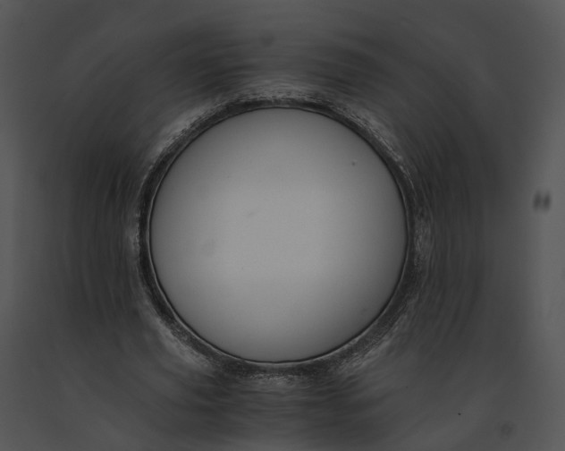 X0000091200629200708301601