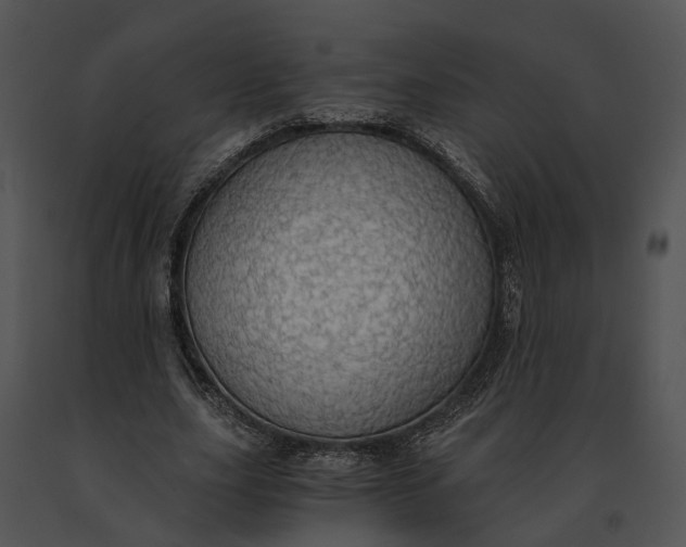X0000091200631200708301601