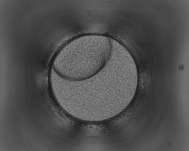 X0000091200632200708301601